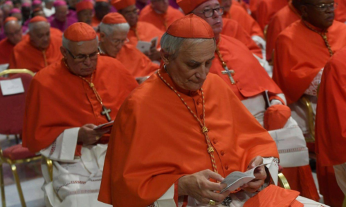 Franciszek wręczył birety kardynalskie dwudziestu nowym purpuratom